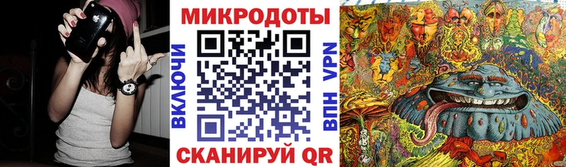Галлюциногенные грибы Psilocybe  Красный Кут 