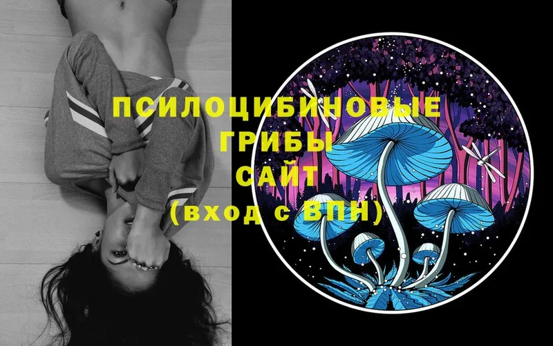 Галлюциногенные грибы Magic Shrooms  Красный Кут 